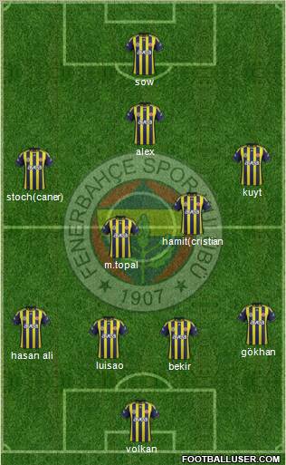 Fenerbahçe SK Formation 2012