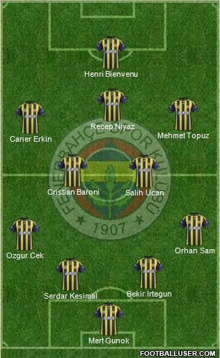 Fenerbahçe SK Formation 2012