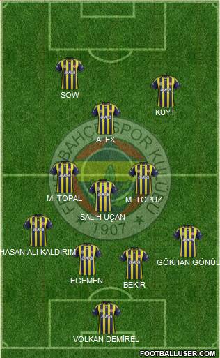 Fenerbahçe SK Formation 2012
