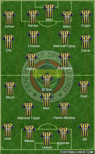 Fenerbahçe SK Formation 2012