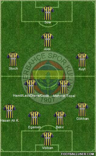 Fenerbahçe SK Formation 2012