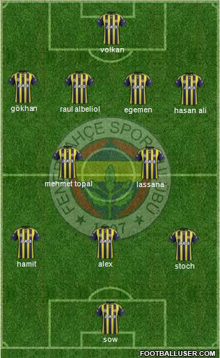 Fenerbahçe SK Formation 2012