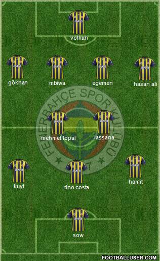 Fenerbahçe SK Formation 2012