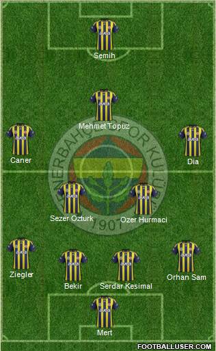 Fenerbahçe SK Formation 2012