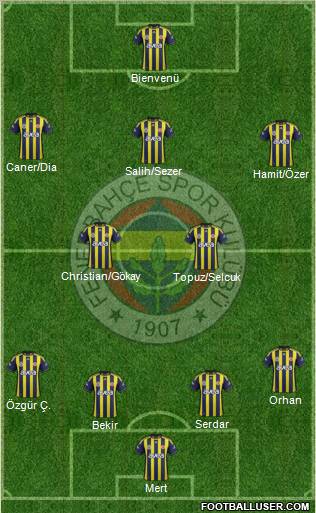 Fenerbahçe SK Formation 2012