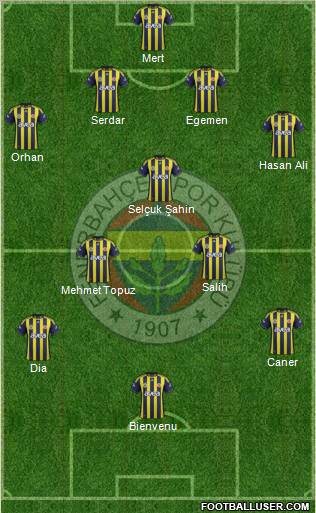 Fenerbahçe SK Formation 2012