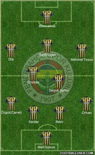 Fenerbahçe SK Formation 2012