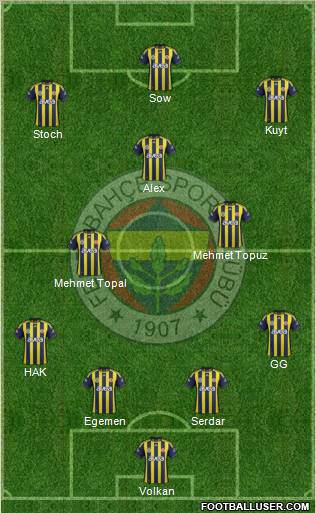 Fenerbahçe SK Formation 2012