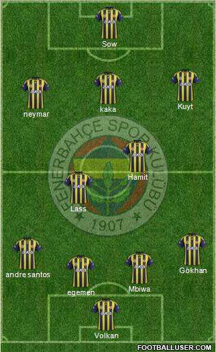 Fenerbahçe SK Formation 2012