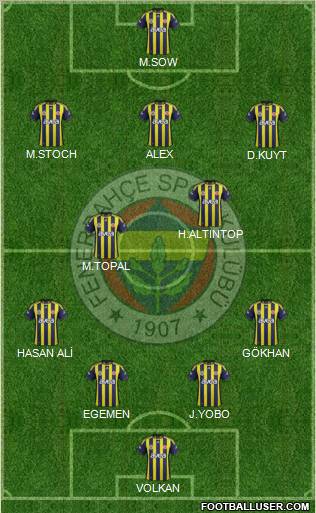 Fenerbahçe SK Formation 2012