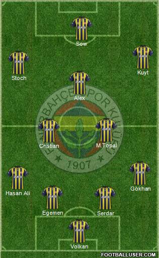 Fenerbahçe SK Formation 2012