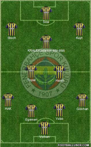 Fenerbahçe SK Formation 2012
