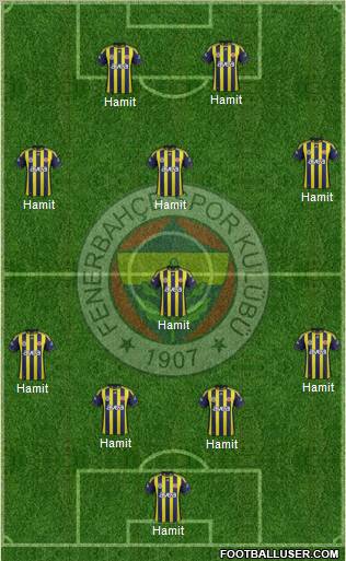 Fenerbahçe SK Formation 2012