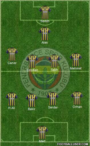 Fenerbahçe SK Formation 2012