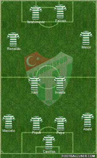 Bingöl Belediyespor Formation 2012