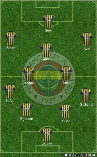 Fenerbahçe SK Formation 2012