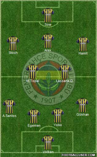 Fenerbahçe SK Formation 2012