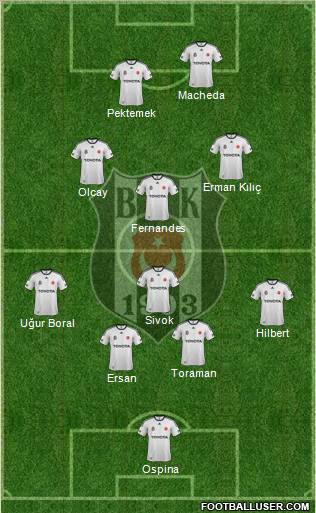 Besiktas JK Formation 2012