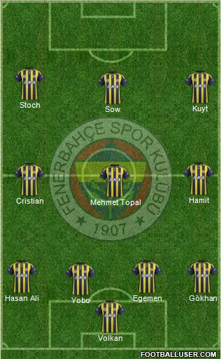 Fenerbahçe SK Formation 2012
