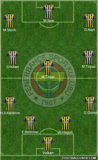 Fenerbahçe SK Formation 2012