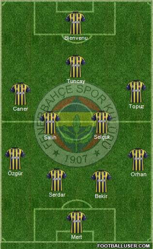 Fenerbahçe SK Formation 2012