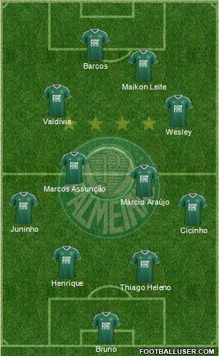 SE Palmeiras Formation 2012