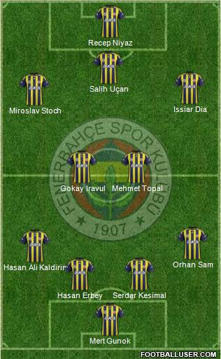 Fenerbahçe SK Formation 2012