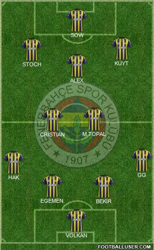 Fenerbahçe SK Formation 2012