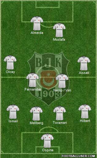 Besiktas JK Formation 2012