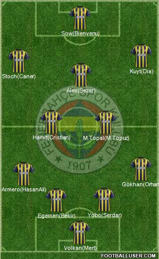 Fenerbahçe SK Formation 2012