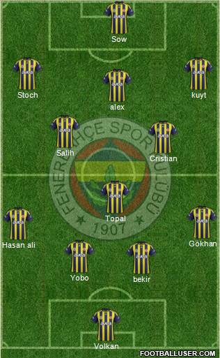 Fenerbahçe SK Formation 2012