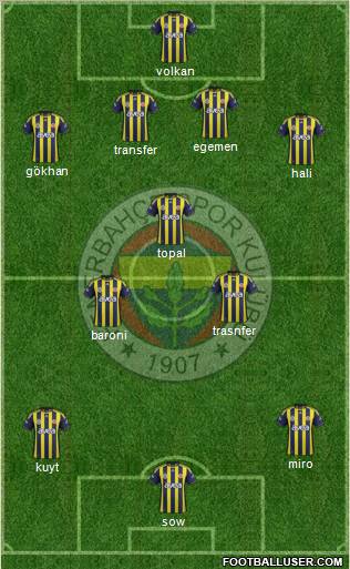 Fenerbahçe SK Formation 2012