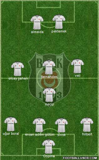 Besiktas JK Formation 2012
