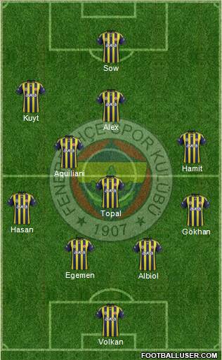 Fenerbahçe SK Formation 2012