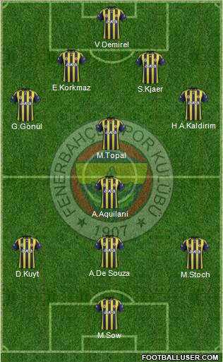 Fenerbahçe SK Formation 2012