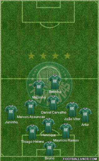 SE Palmeiras Formation 2012