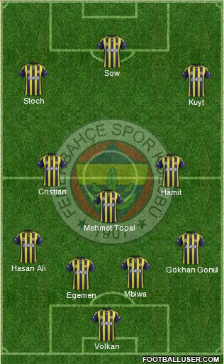Fenerbahçe SK Formation 2012
