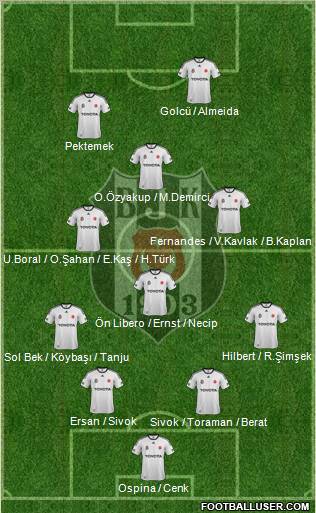 Besiktas JK Formation 2012