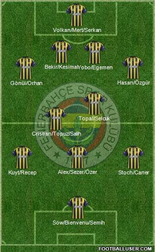 Fenerbahçe SK Formation 2012