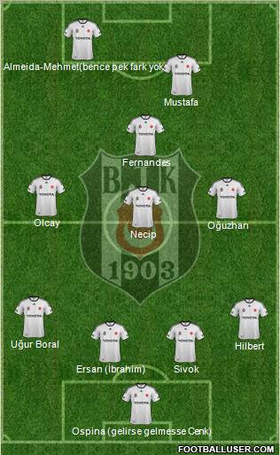 Besiktas JK Formation 2012