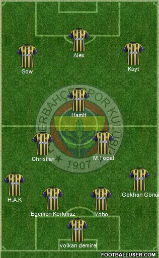 Fenerbahçe SK Formation 2012