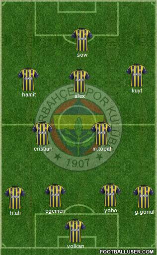 Fenerbahçe SK Formation 2012