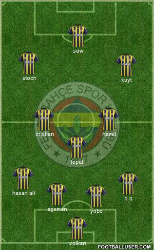 Fenerbahçe SK Formation 2012