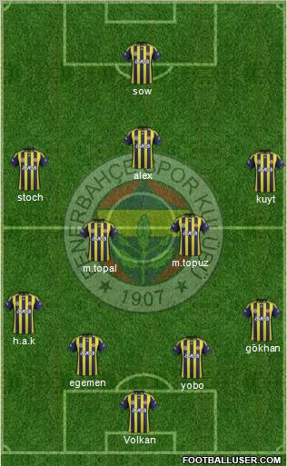 Fenerbahçe SK Formation 2012