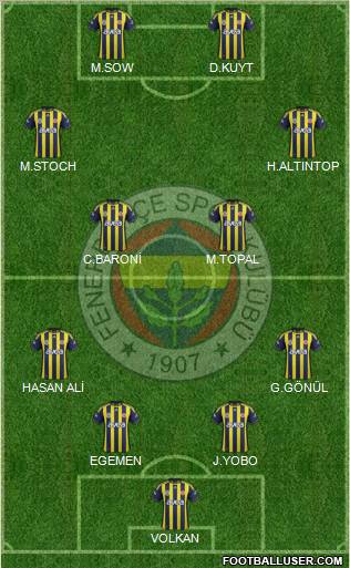 Fenerbahçe SK Formation 2012