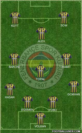 Fenerbahçe SK Formation 2012