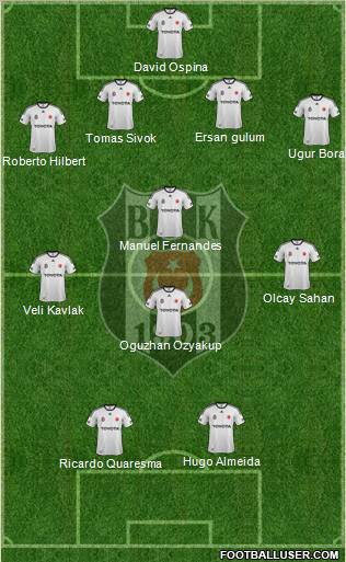 Besiktas JK Formation 2012