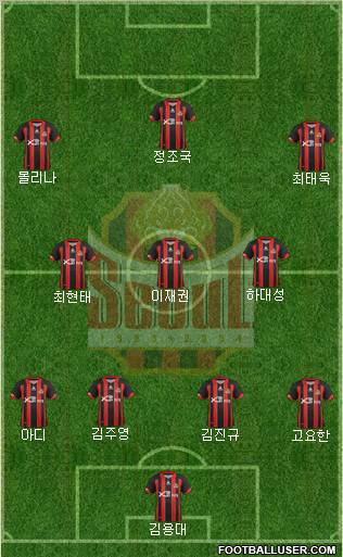 FC Seoul Formation 2012