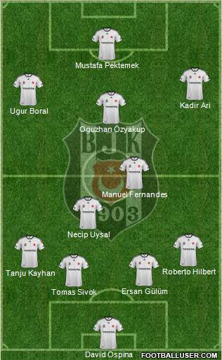 Besiktas JK Formation 2012