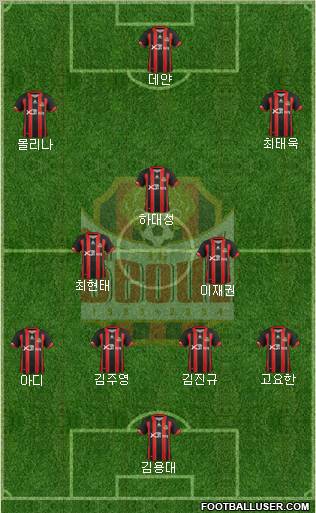 FC Seoul Formation 2012